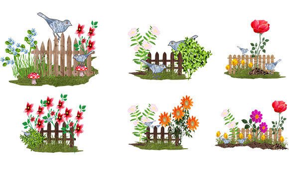 A Set of 6 Garden Flowers: Premium Graphics for Illustrations