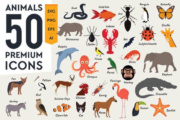 Animals 50 Premium Icon: A Designer's Real-World Embroidery Review
