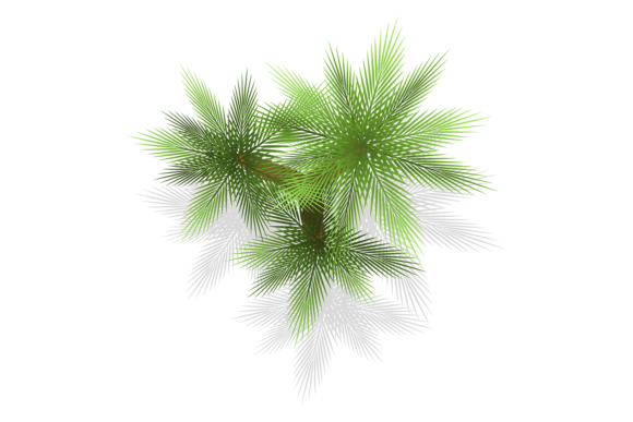 Green Bushes for Landscape Plan. Plants: A Graphics & Illustrations Review