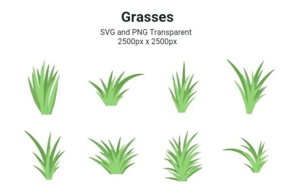 Green Grasses or Bushes: A Review of Fresh Graphics and Illustrations